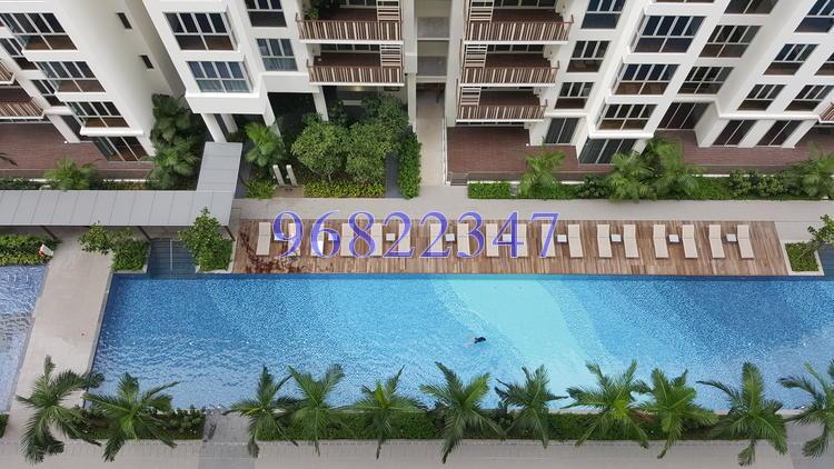 eCO (D16), Condominium #151916132